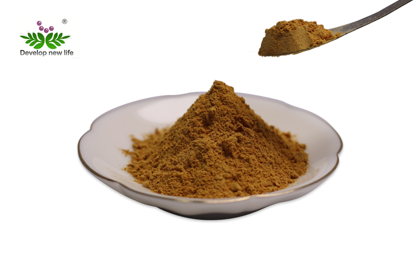 Gymnema Sylvestre Extract Powder
